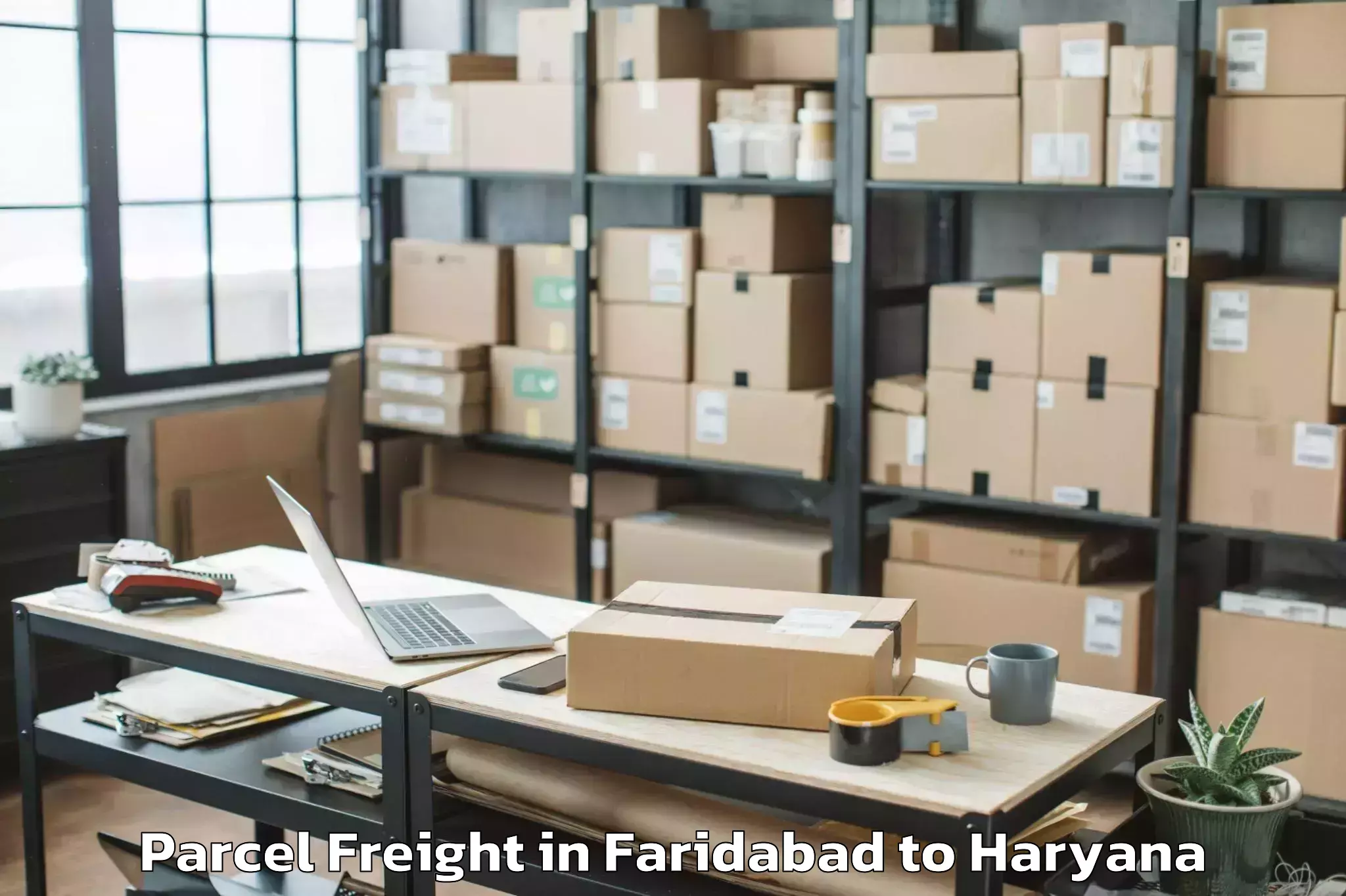 Book Your Faridabad to Safidon Parcel Freight Today